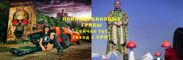 марки nbome Вяземский